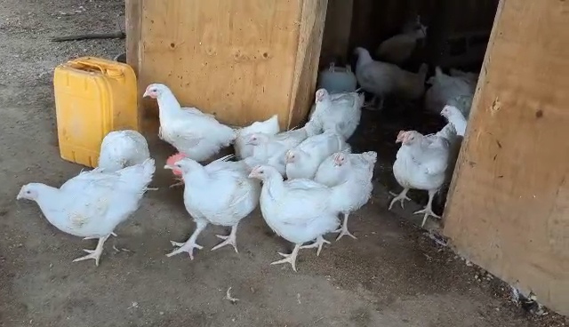 Élever pour nourrir, bâtir pour grandir.